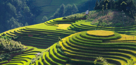 Visa requirements for Australia passport holders traveling to Vietnam